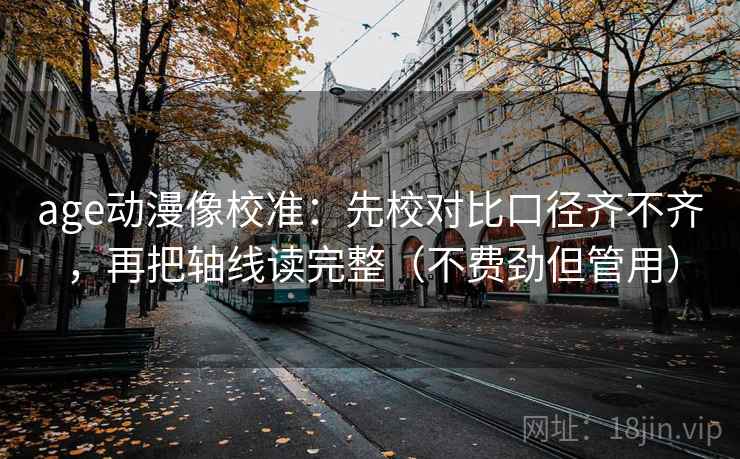 age动漫像校准：先校对比口径齐不齐，再把轴线读完整（不费劲但管用）
